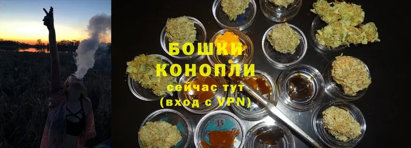 цены наркотик  Фатеж  Конопля OG Kush 